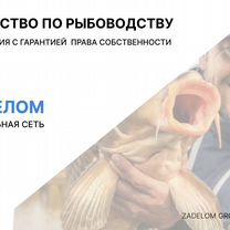 Агентство по рыбоводству в городе Киев, Киев