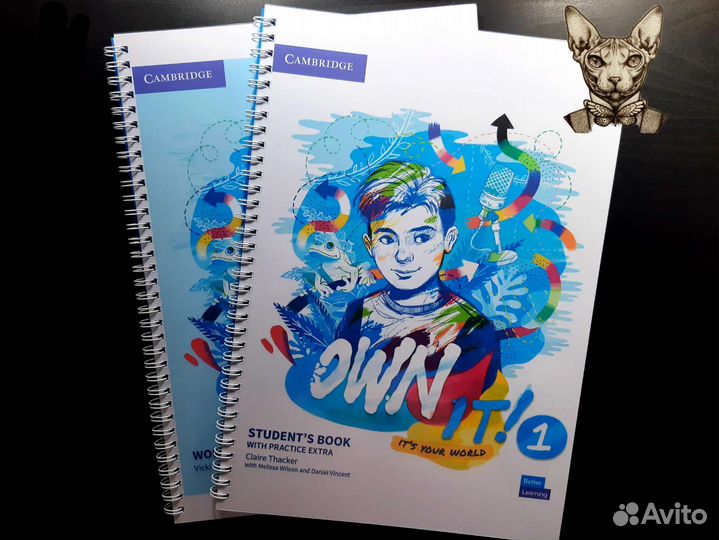 Own it 1. Students book and work book
