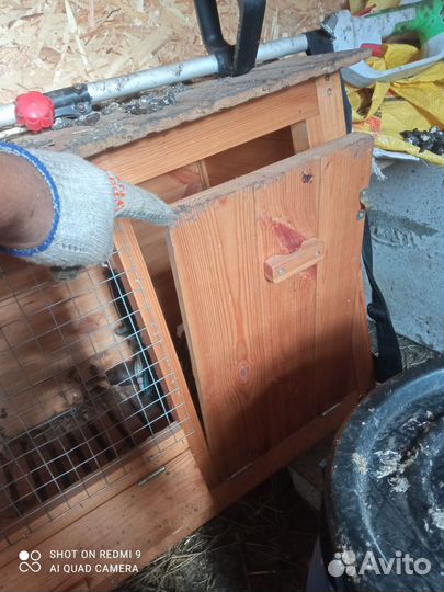 Клетка для кролика