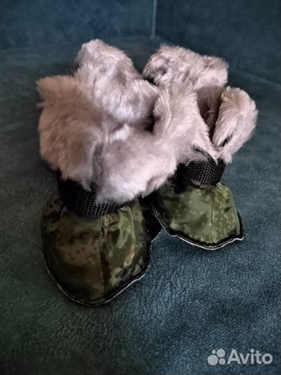 Обувь для маленьких собак