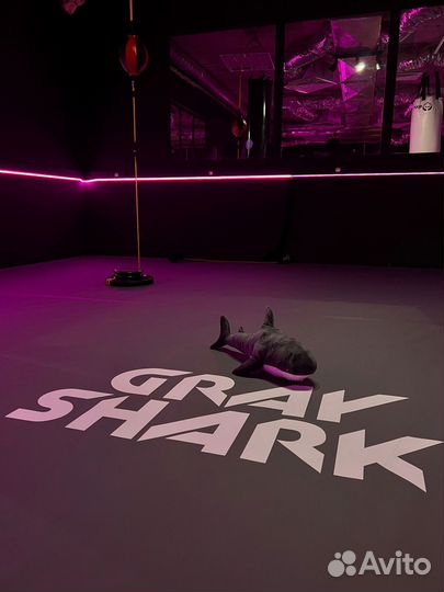 Напольное и настенное покрытие для спортзала