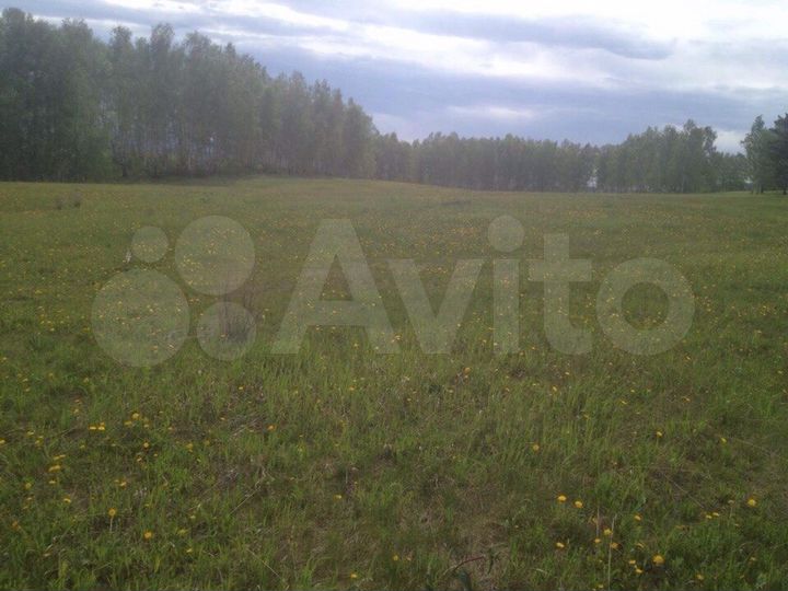 Участок 48 сот. (СНТ, ДНП)