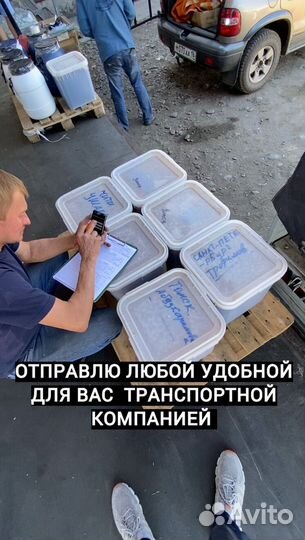 Мед оптом/Урожай 2022г