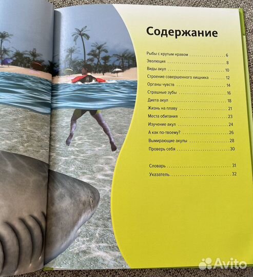 Детская энциклопедия