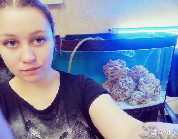 Обслуживание аквариума террариума