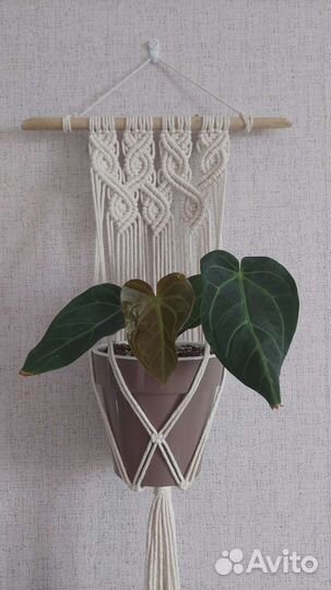 Настенное кашпо подвесное макраме для цветов