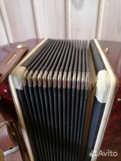 Аккордеон 