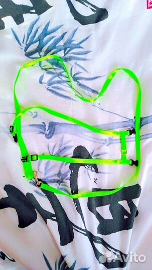 Амуниция для собак