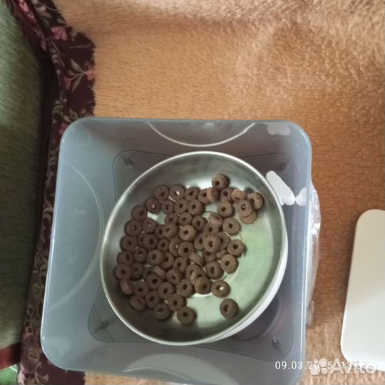 Автокормушка для собак и кошек