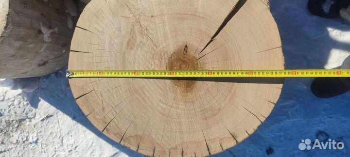 Спил дерева слэб