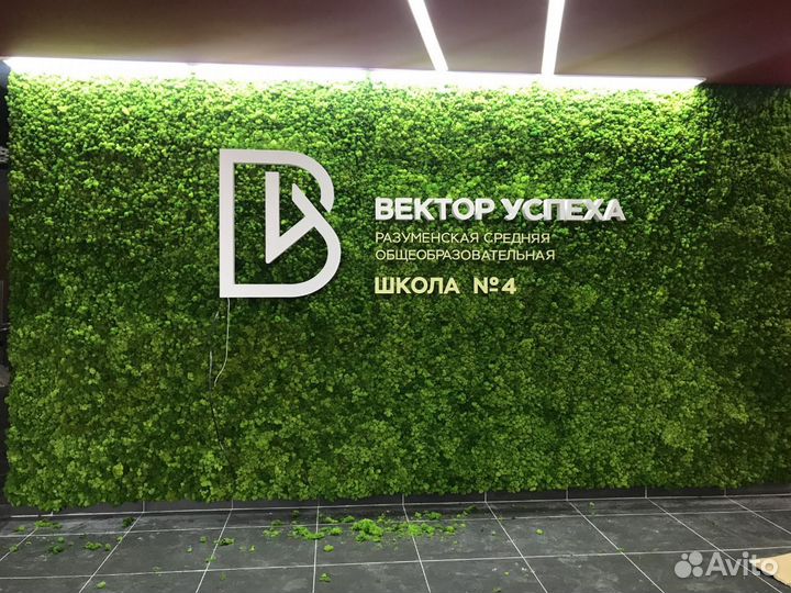 Мох стабилизированный оптом и в розницу