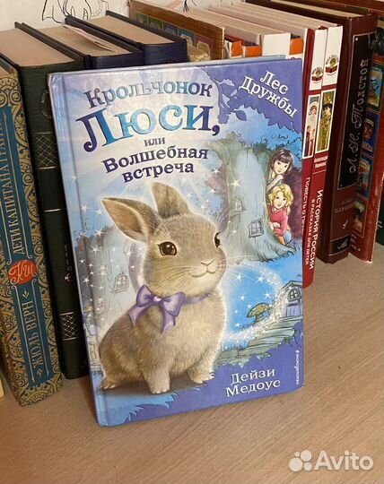 Книга Лес Дружбы Крольчонок Люси