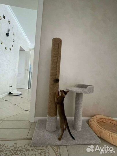 Домики когтеточки для кошек. Изготовление на заказ