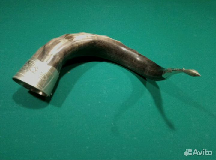 Большой Рог Горного Козла