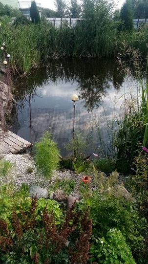 Дом 100 м² на участке 26 сот.