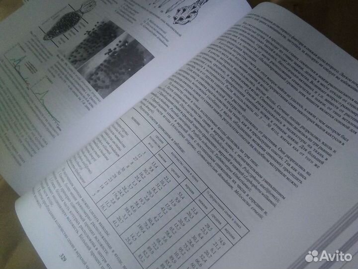 Книга. Энциклопедия.Новые. В упаковке