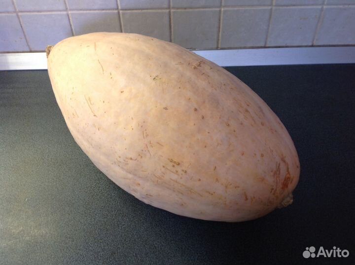 Тыква Розовый Банан семена