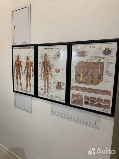 Аренда массажного кабинета с душем