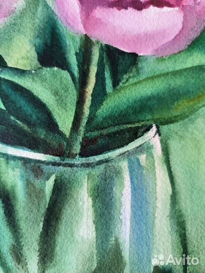 Картина пионы акварелью