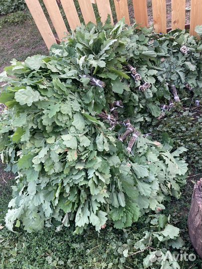 Веники дубовые