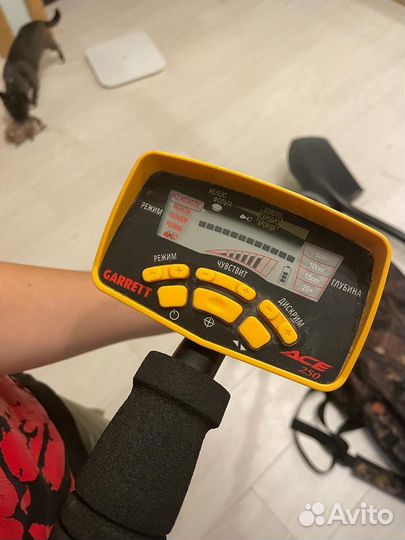 Металлоискатель garrett ace 250