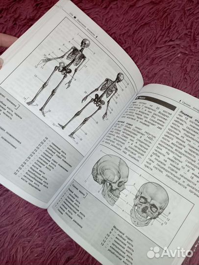 Наглядный справочник для подготовки биология