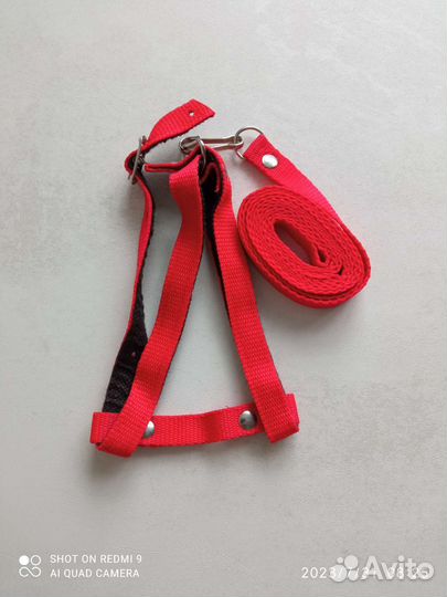 Шлейка с поводком