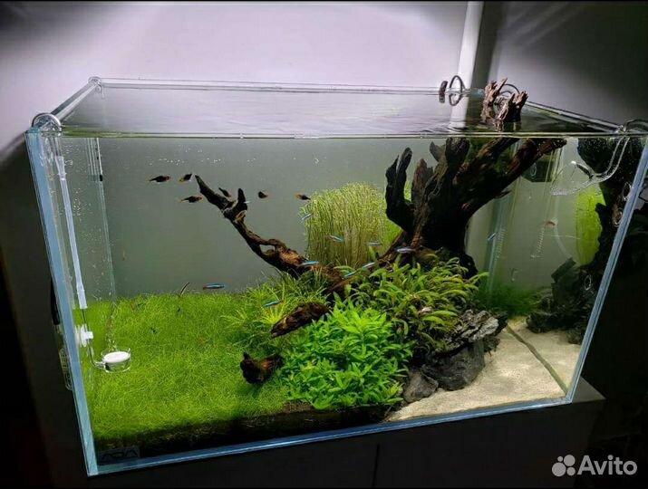 Оформление аквариума