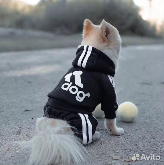 Комбинезон для собак S