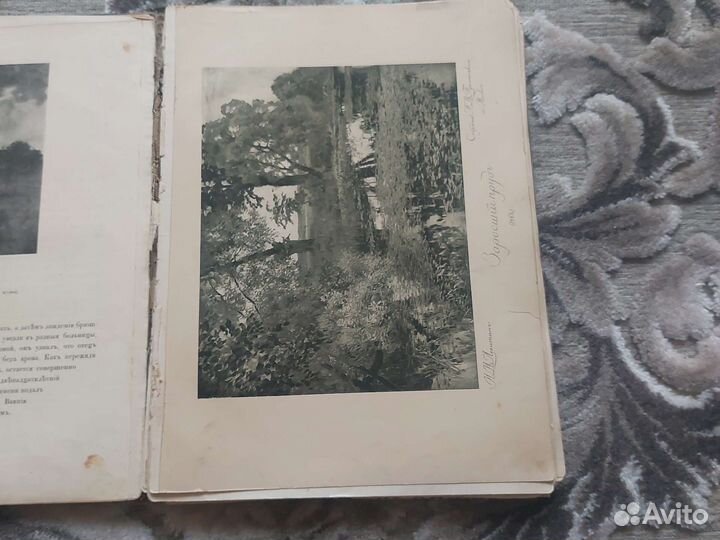 Книга Левитан