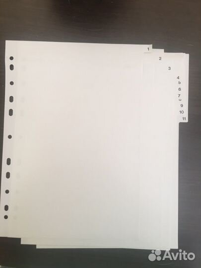 Пластиковый разделитель для папки А4. Esselte