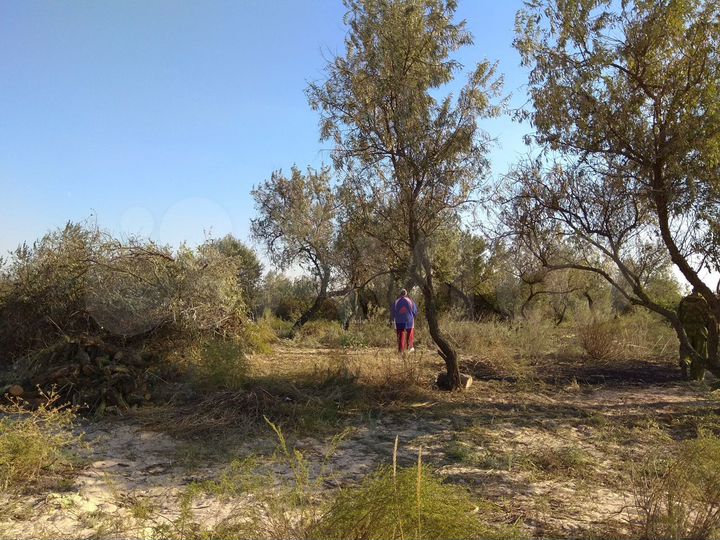 Участок 7,5 сот. (ИЖС)