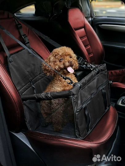 Автогамак для собак