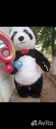 Белый Мишка, Чебурашка, Панда больше белого медвед