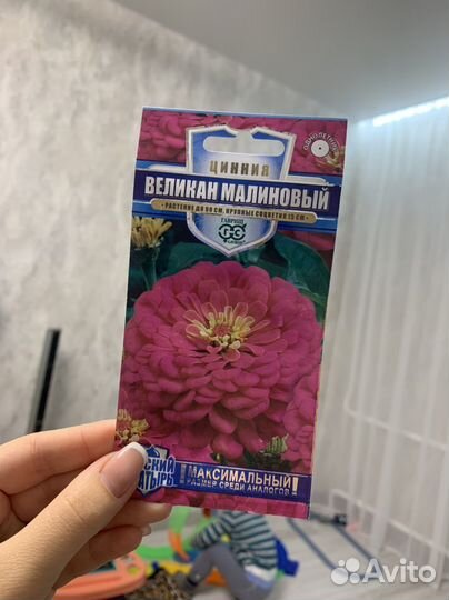 Семена цветов