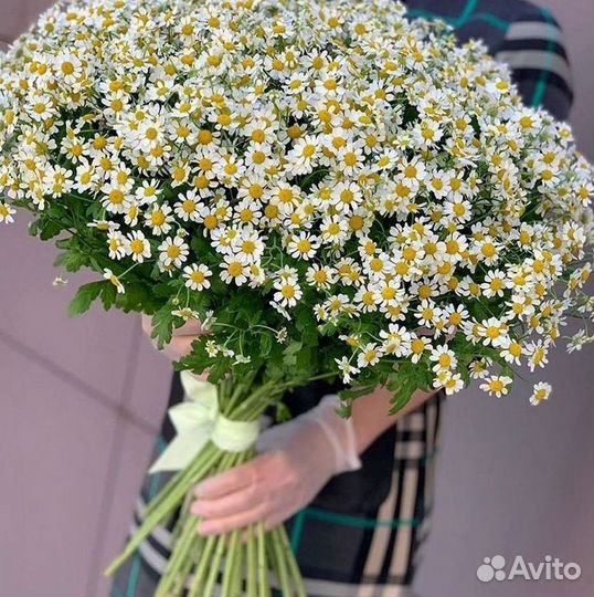 Ромашки букет