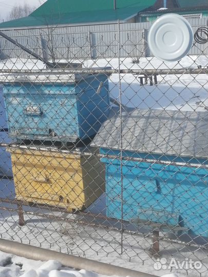 Продаю ульи б/у