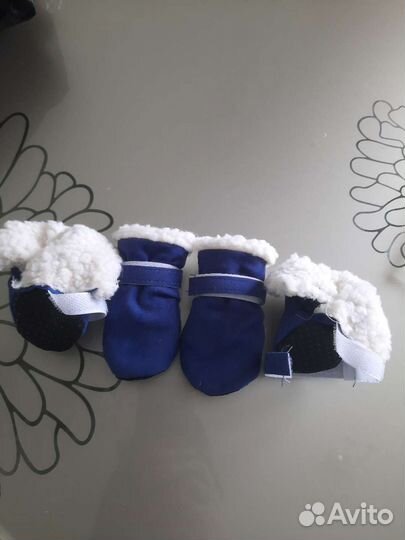 Ботиночки и носочки для собак новые