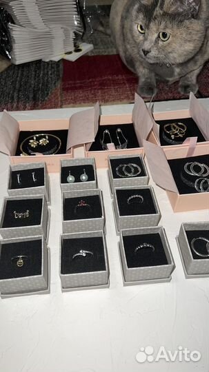 Готовый бизнес серебряные украшения Pandora