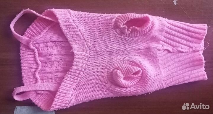 Костюм для собаки