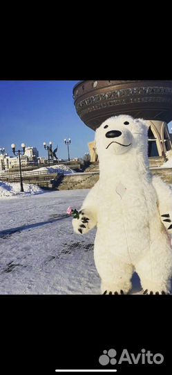 Мишка умка на праздник