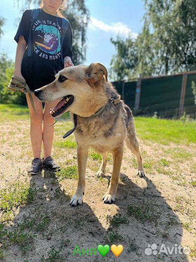 Марта ищет дом