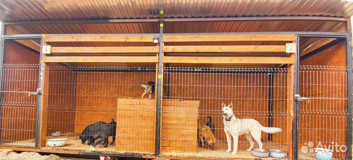 Вольер для собак, 6 метров на 2
