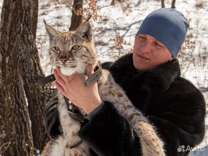 Мужская норковая шуба 52 54