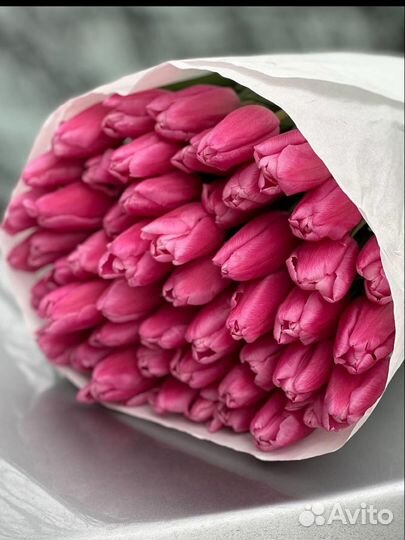 Тюльпаны / Букет из тюльпанов / 21, 31, 51