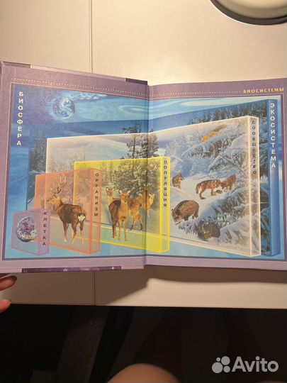 Ефимова, Шубин- Биология 9класс