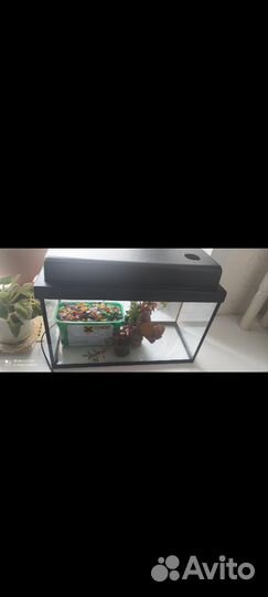 Аквариум