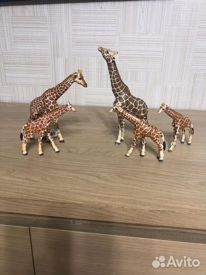 Шляйх schleich новые (африка, арктика, америка)