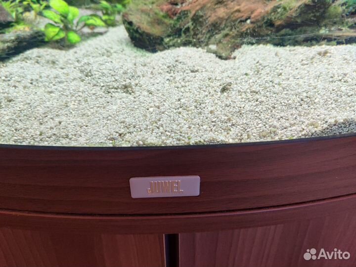 Аквариум Juwel Trigon 190 с тумбой угловой