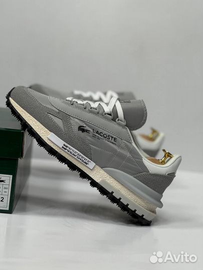 Кроссовки мужские lacoste серые